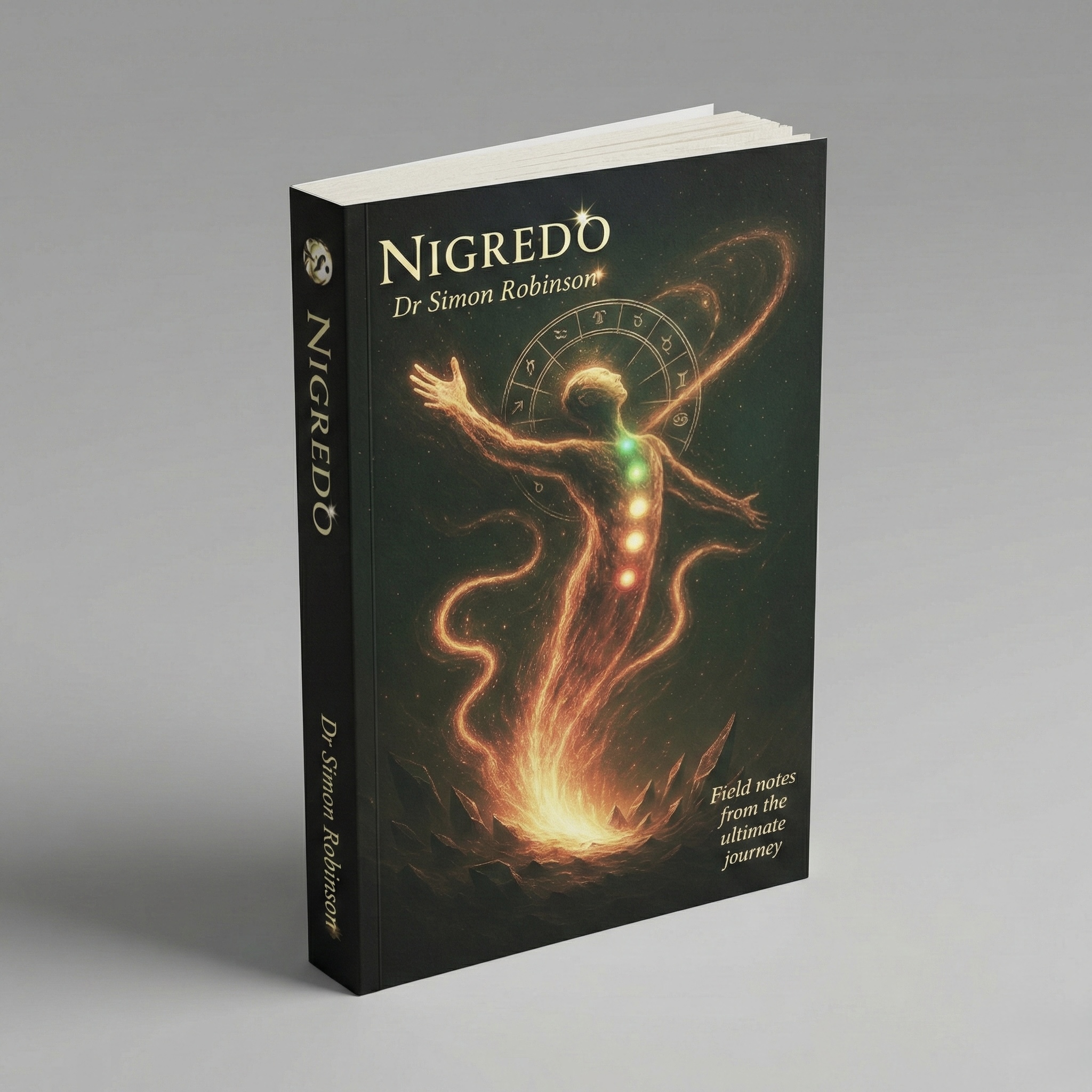 Nigredo: A Course in Modern Alchemy Book Cover